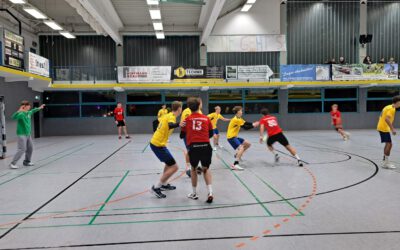 mJA (RL) | Siegesreihe gegen die HSG Aschaffenburg 08 fortgesetzt