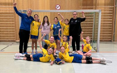 wE1 | Sieg bei HSG Aschaffenburg