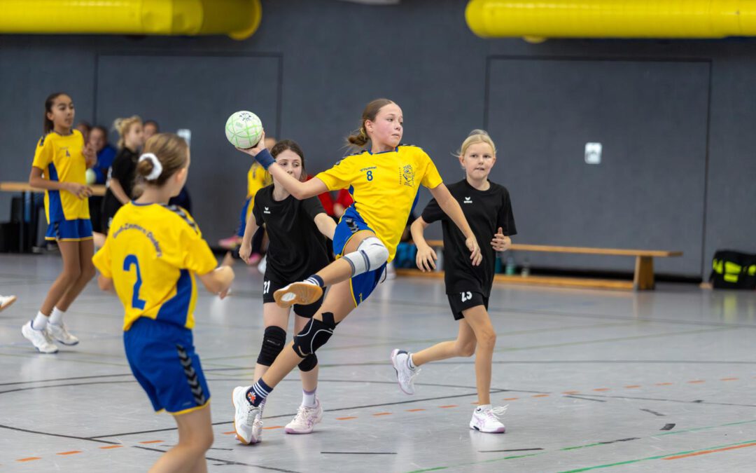 wD2 |  Piranhas vs. HSG Sulzbach/Leidersbach