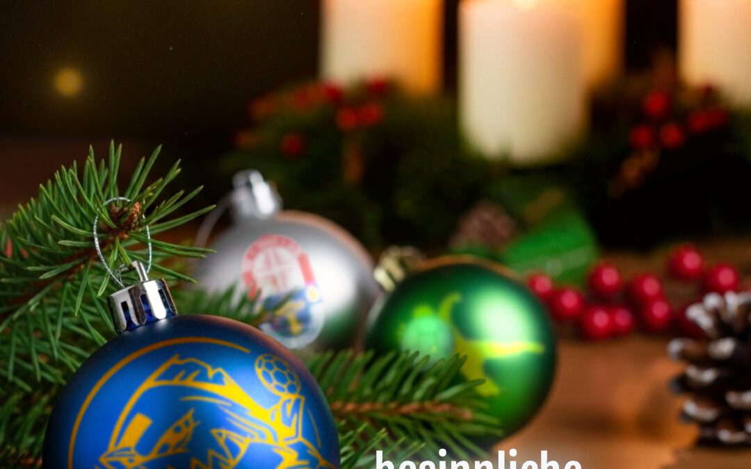 Die Piranhas wünschen Frohe Weihnachten!