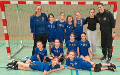 wE2 | Lehrreiche Niederlage gegen die HSG Aschafftal