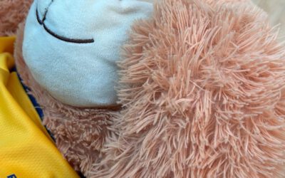 wC2 | Punktverlust in Michelbach