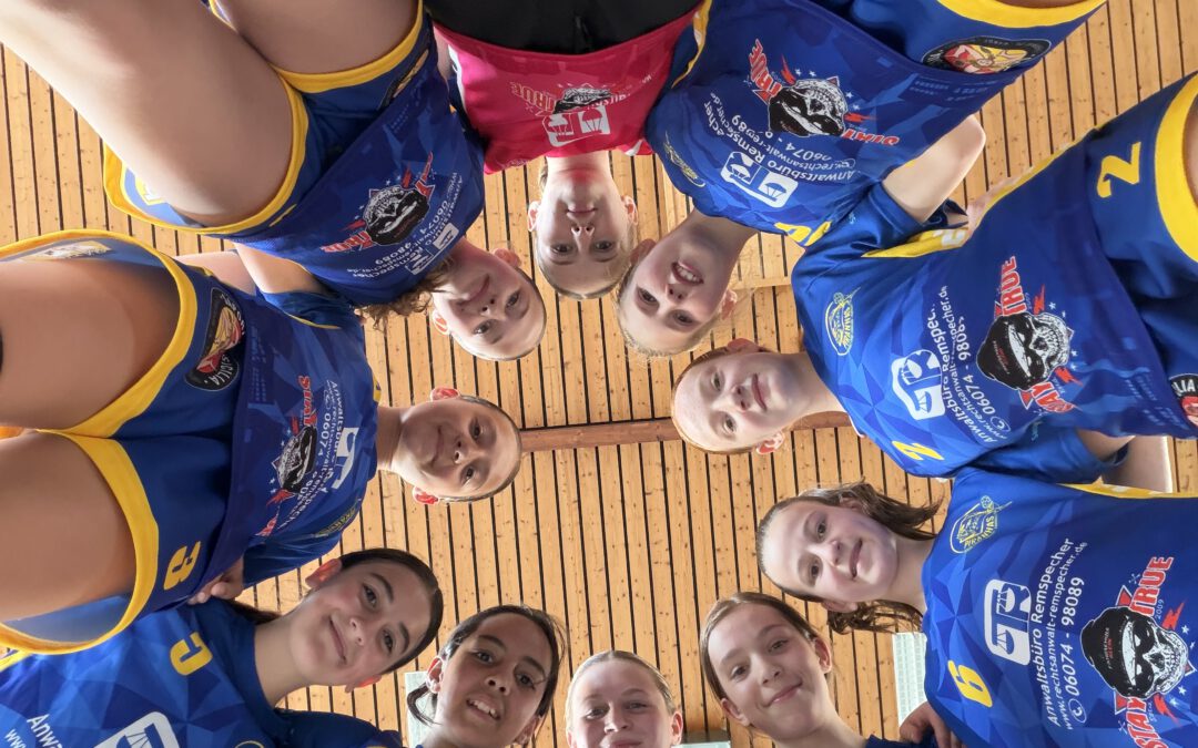 wD (BOL) | Im Schwarm sind die Piranhas stark 💙💛